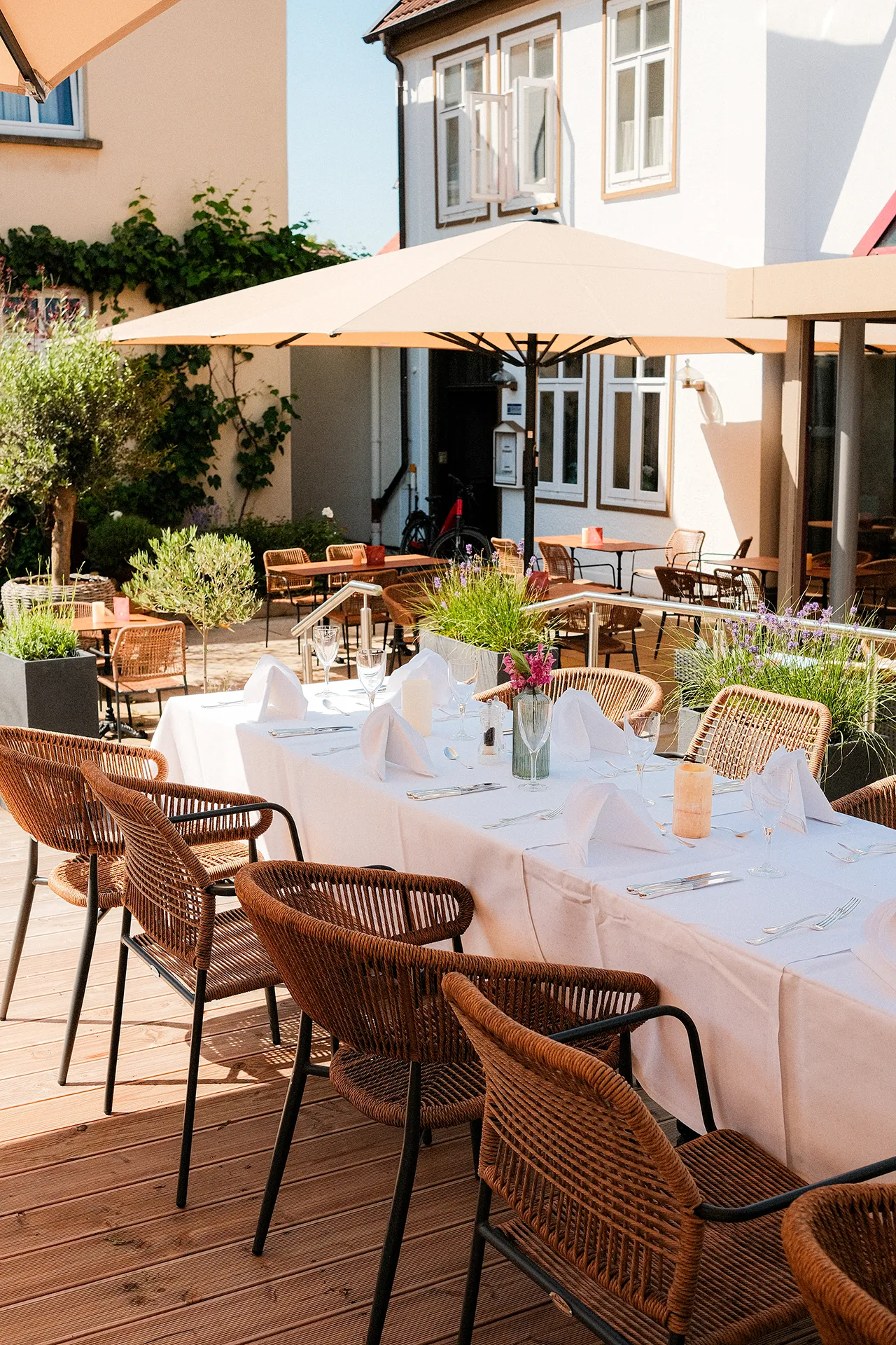 Weiß gedeckter Tisch auf der Terrasse unter einem Sonnenschirm, umgeben von Olivenbäumen